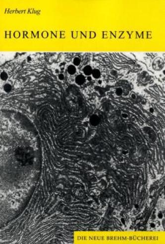 Hormone und Enzyme