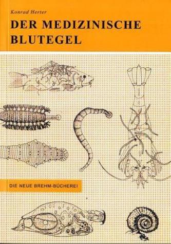 Der medizinische Blutegel und seine Verwandten
