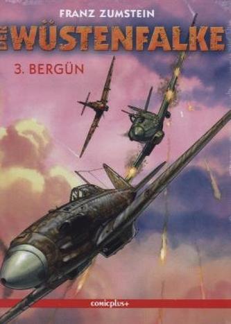 Der Wüstenfalke - Bergün