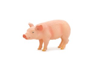 Mojo Animal Planet Selátko