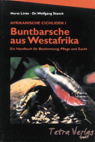 Buntbarsche aus Westafrika