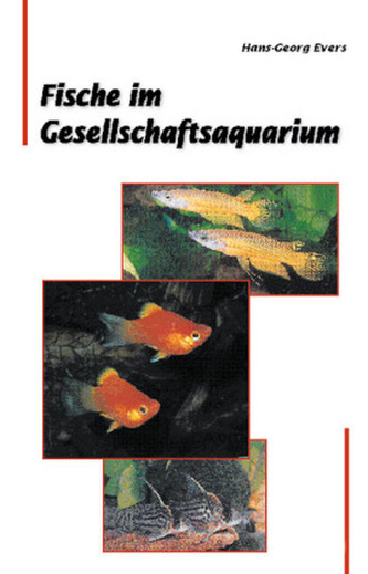 Fische im Gesellschaftsaquarium