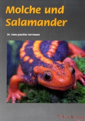 Molche und Salamander