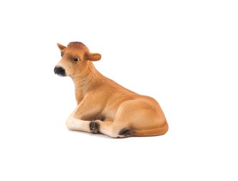 Mojo Animal Planet Jersey tele ležící