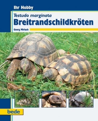 Ihr Hobby Breitrandschildkröten