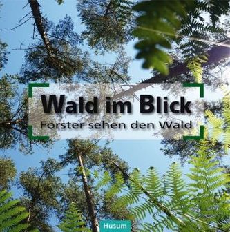 Wald im Blick