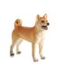 Mojo Animal Planet Pes Shiba Inu