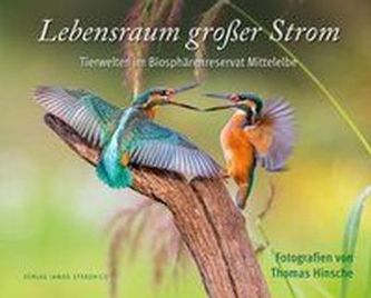 Lebensraum großer Strom