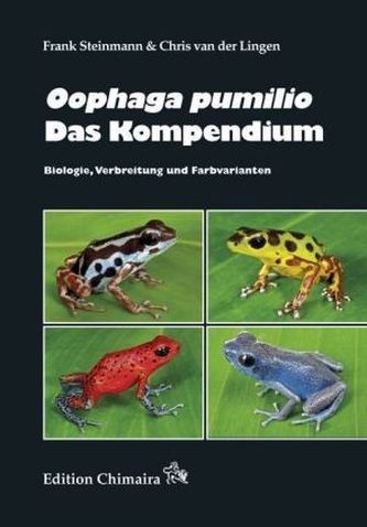 Oophaga pumilio. Das Kompendium