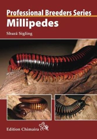 Millipedes