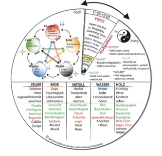 TCM-Grundlagen, Drehscheibe TCM-Grundlagen, Drehscheibe