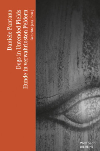 Dogs in untended Fields. Hunde in verwahrlosten Feldern