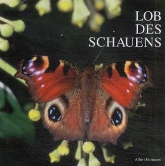 Lob des Schauens