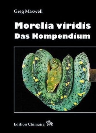Morelia viridis