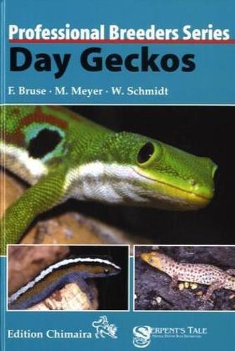 Day Geckos