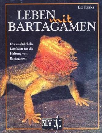 Leben mit Bartagamen