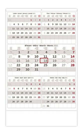Kalendář 2021 nástěnný: Pětiměsíční šedý, 315x450