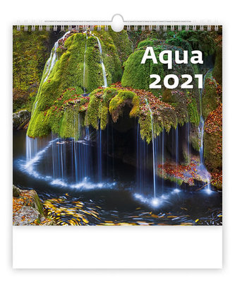 Kalendář 2021 nástěnný: Aqua, 340x325