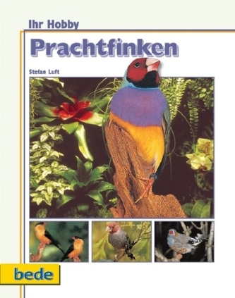 Prachtfinken