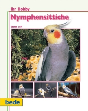 Nymphensittiche