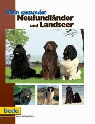 Mein gesunder Neufundländer und Landseer