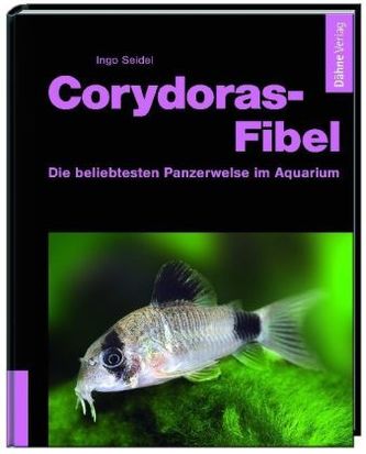 Corydoras-Fibel