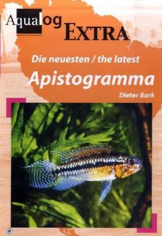 Die neuesten Apistogramma. The lastest Apistogramma