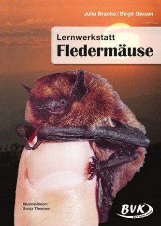 Lernwerkstatt Fledermäuse Lernwerkstatt Fledermäuse
