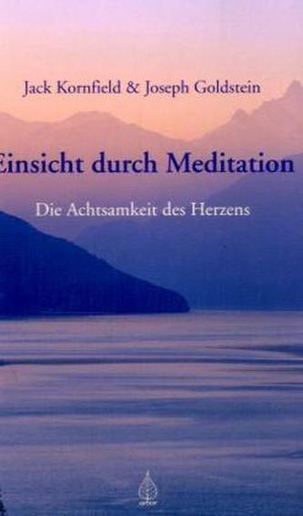 Einsicht durch Meditation