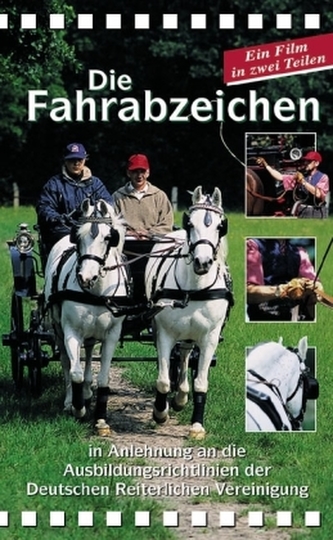 Die Fahrabzeichen 1 & 2, 1 DVD