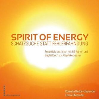 Spirit of Energy, Schatzsuche statt Fehlerfahndung, m. 62 Ktn.