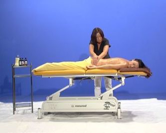 Einführung in die Ayurveda-Massage, 1 DVD