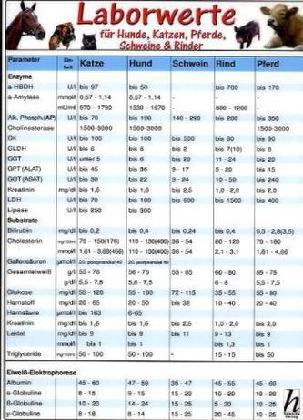 Laborwerte für Hunde, Katzen, Pferde, Schweine & Rinder, Tierheilkunde-Karte