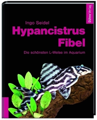 Hypancistrus-Fibel