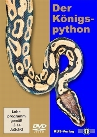 Der Königspython, 1 DVD
