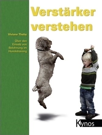 Verstärker verstehen