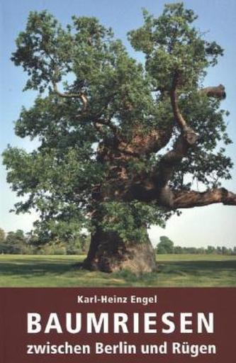 Baumriesen zwischen Berlin und Rügen