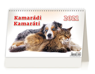 Kalendář 2021 stolní: Kamarádi/Kamaráti, 226x139