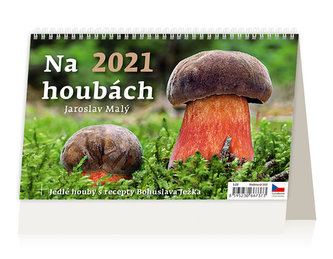 Kalendář 2021 stolní: Na houbách, 226x139