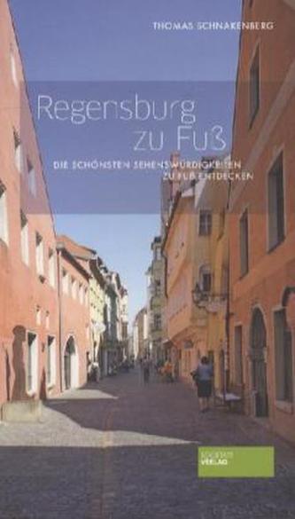 Regensburg zu Fuß