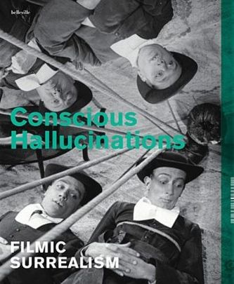 Conscious Hallucinations