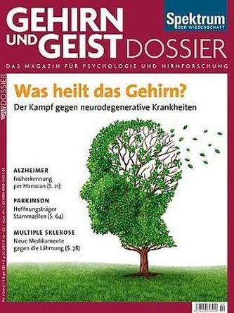 Was heilt das Gehirn?