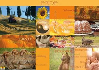 Fünf-Elemente-Schaubilder (Holz, Feuer, Erde, Metall, Wasser), 5 Schaubilder