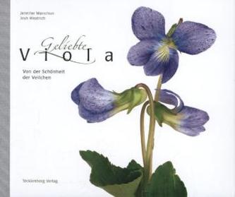Geliebte Viola