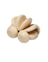 PlanToys Autíčko pro nejmenší