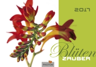 Blütenzauber 2017