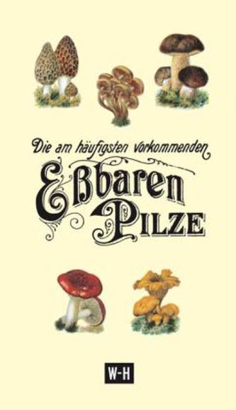 Die am häufigsten vorkommenden eßbaren Pilze