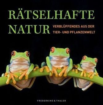 Rätselhafte Natur