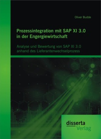 Prozessintegration mit SAP XI 3.0 in der Engergiewirtschaft: Analyse und Bewertung von SAP XI 3.0 anhand des Lieferantenwechselp