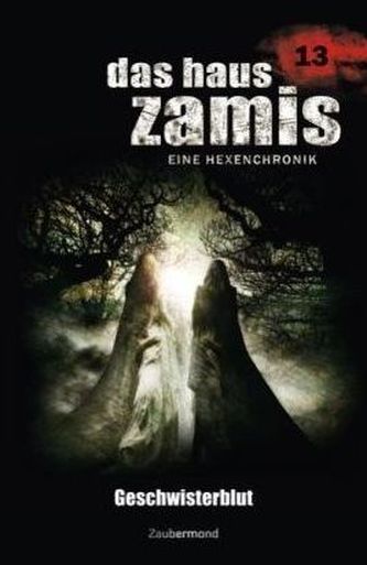 Das Haus Zamis, Eine Hexenchronik - Geschwisterblut